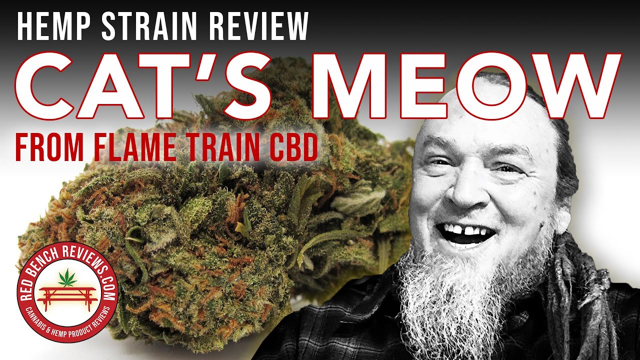 Flame Train CBD Cat’s Meow Strain Review 17.63 CBD YouTube