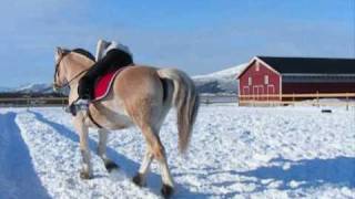 Andrea og Embla, dressur 20.3.08