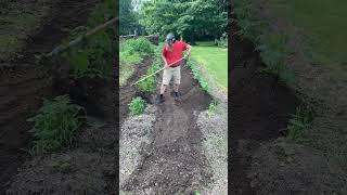 Back Home Hilling Taters