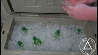 YETI Cooler Review - Tundra 75 - Seven Day Test