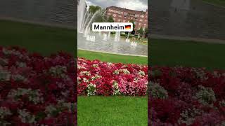 Mannheim#deutchland #germany #sehenswürdigkeit #explore #viralshort