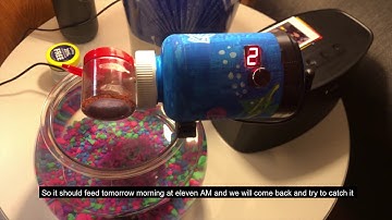 Using an ARDUINO to Create an AUTOMATIC FISH FEEDER!