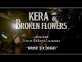 KERA &amp; BROKEN FLOWERS "DRIVE TO TOKIO" - Live at Shibuya La.mama 2023.11.20