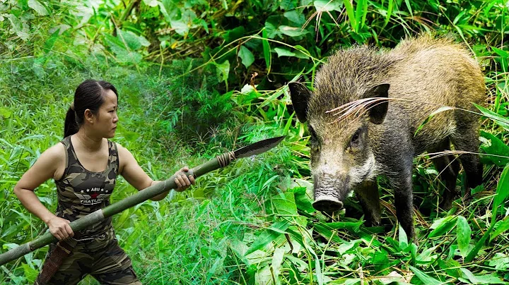 What do wild pigs use for shelter? (2023)