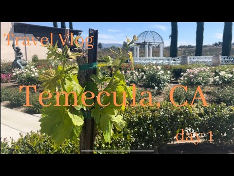 【Travel Vlog】Temecula and Torrance, CA Day 1🍾テメキュラCA Day1