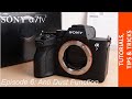 How to activate anti dust function  closed shutter in your sony alpha 7 iv  fast  easy tutorial