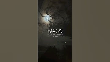 "أحل لكم ليلة الصيام الرفث إلى نسائكم"  | سورة البقرة | تلاوة خاشعة للقارئ وديع اليمني