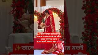 Wedding That Broke The Youtube