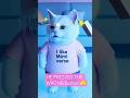 FUNNY CAT PRESSES WRONG BUTTON 😱❄️ 🧊😂  Viral Cat Shorts