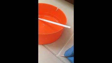 Renewing Your Grout - Polyblend Grout Renew