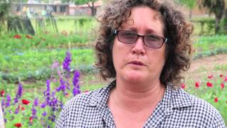 Rain Lily Farm - Austin, Tx Local Food & Farms Spotlight