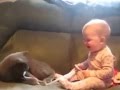 Cat and Baby Ribbon   Funny Cat Videos