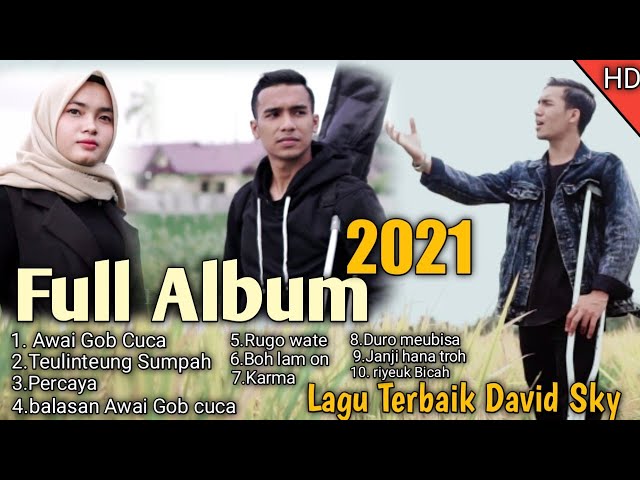 Lagu Aceh Terbaru 2021-( Full Album ) David sky class=