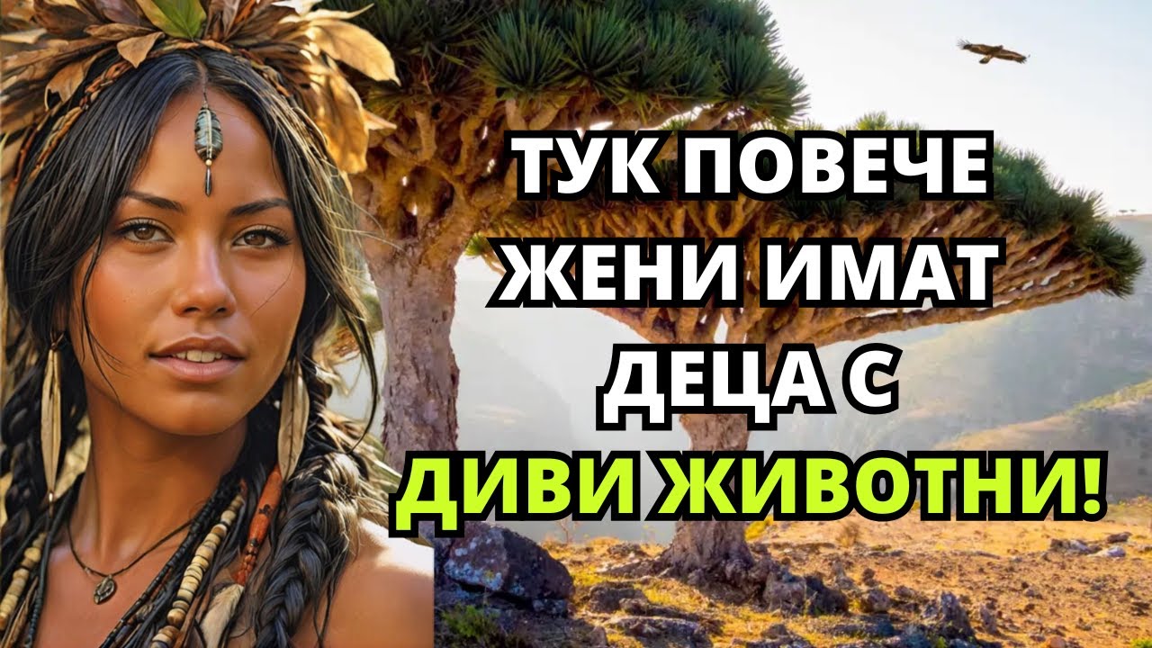 Такъв е животът на SOCOTRA, остров с много СТРАННИ ТРАДИЦИИ…