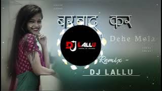 Barbad Kar Dehe Mola | बरबाद  कर  देहे मोला  | Cg Dj Remix Song | DJ LALLU