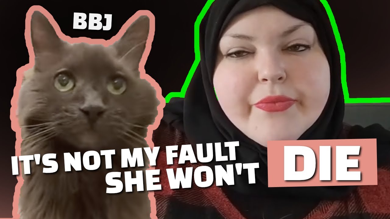 Foodie Beauty Dumps Her Elderly Cat BBJ, Deletes All Livestream Proof of Neglect and Now Denies It