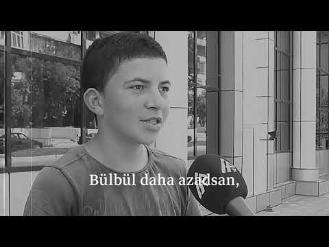 Bülbül daha azadsan | Mehman