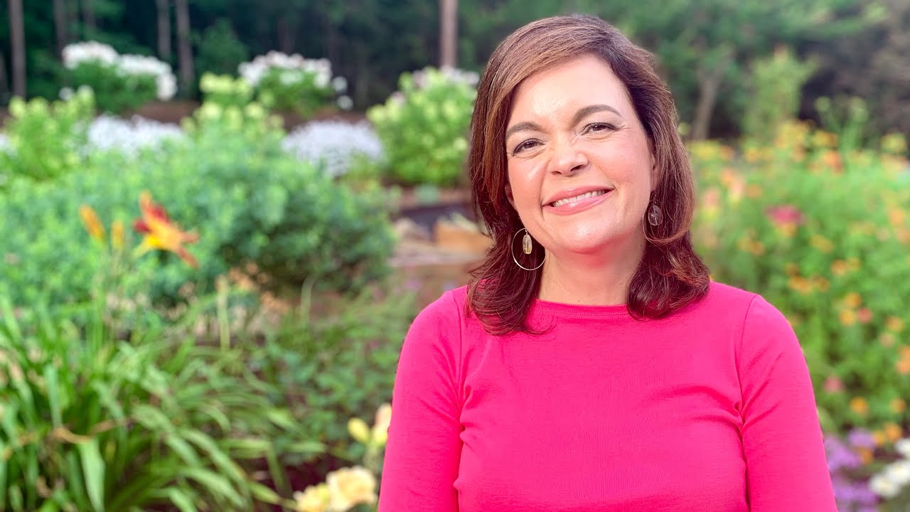 Пять лучших многолетников для южных садов // Садоводство с Creekside