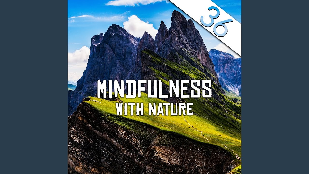 Guarda Nature Before Sleep su YouTube