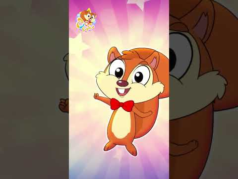 عجل الباص يدور (1)