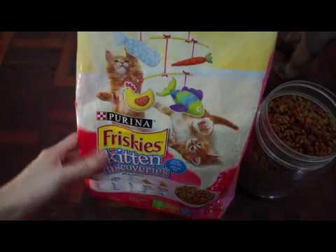 purina friskies kitten