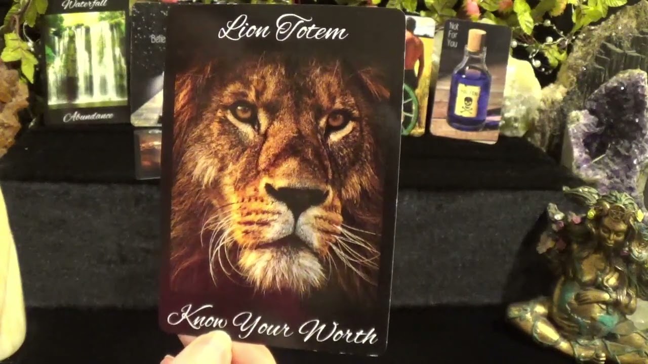 ♎️Libra | ☆ A Wish Is Being Fulfilled ☆ | September Tarot Forecast