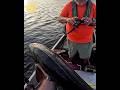 This might be a sturgeon. #fishing #riverfishing #minnesota #sturgeon #lakesturgeon