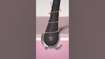 علت ریزش مو چیه فکت های جالب و دانستنی ها 