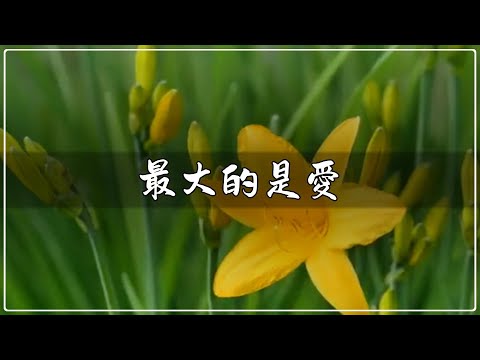 【讚美詩歌】    最大的是愛  |  如今常存的有信有望有愛 其中最大的是愛我若能說萬人的方言甚至天使的話卻沒有愛 卻沒有愛 我就是鳴的鑼響的鈸