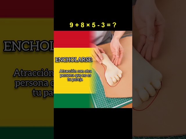 Jergas Bolivianas #bolivia #gaboalvarez #parati #foryou #xyzbcafyp