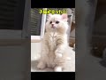 お前、そんな顔できるんか…w