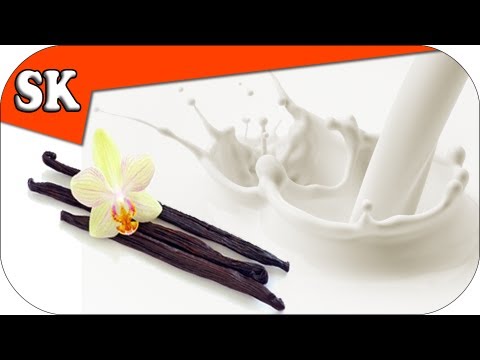 the-worlds-best-vanilla-milkshake---smoothie-tuesday-030