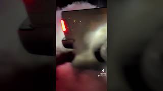 1500HP Cummins Burnout! WAIT FOR IT 😧 #Dodge #Cummins #Diesel 1500HP Cummins Burnout! WAIT FOR IT 😧 #Dodge #Cummins #Diesel