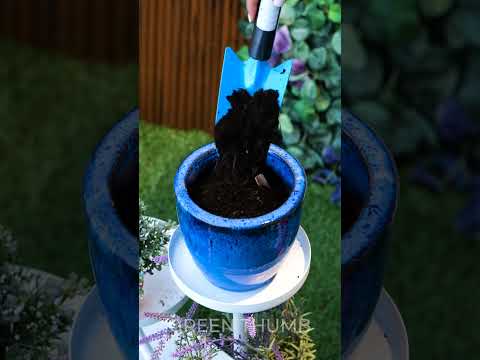 Future-Proof Your Garden: Climate-Resilient Plants and Smart Water Systems