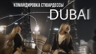 командировка стюардессы в Дубай | неземной vlog