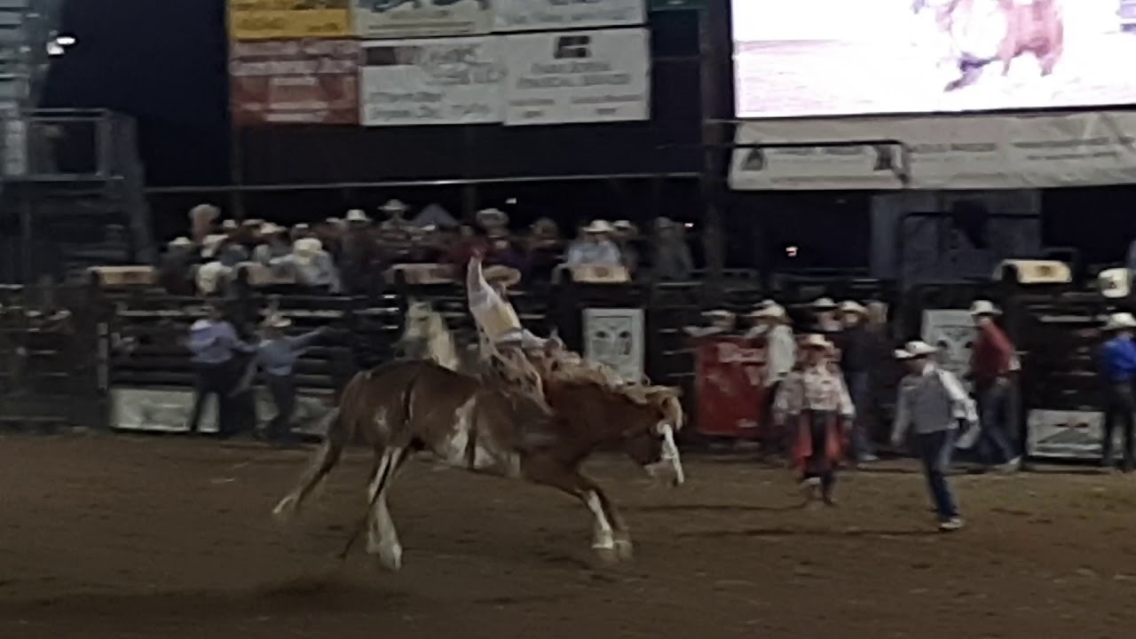 Jake Larson pro rodeo bronc rider at the 2019 Box Elder County Fair