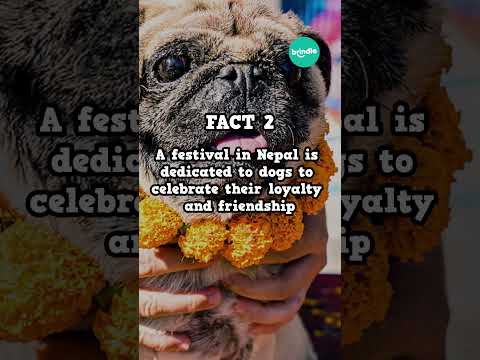 3 Surprising Facts