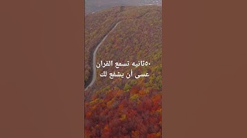 #فلسطين #quran #القرآن_الكريم احفظ ايه تجد نفسك حفظت القرآن الكريم دون أن تدرى فقط ابدا