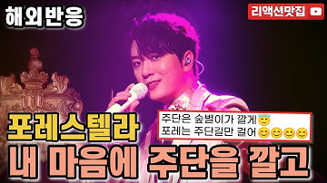 [반복없이깔끔한편집] 포레스텔라 내 마음에 주단을 깔고 Forestella Spread Silk On My Heart 불후의명곡 reaction 해외반응 리액션 모음