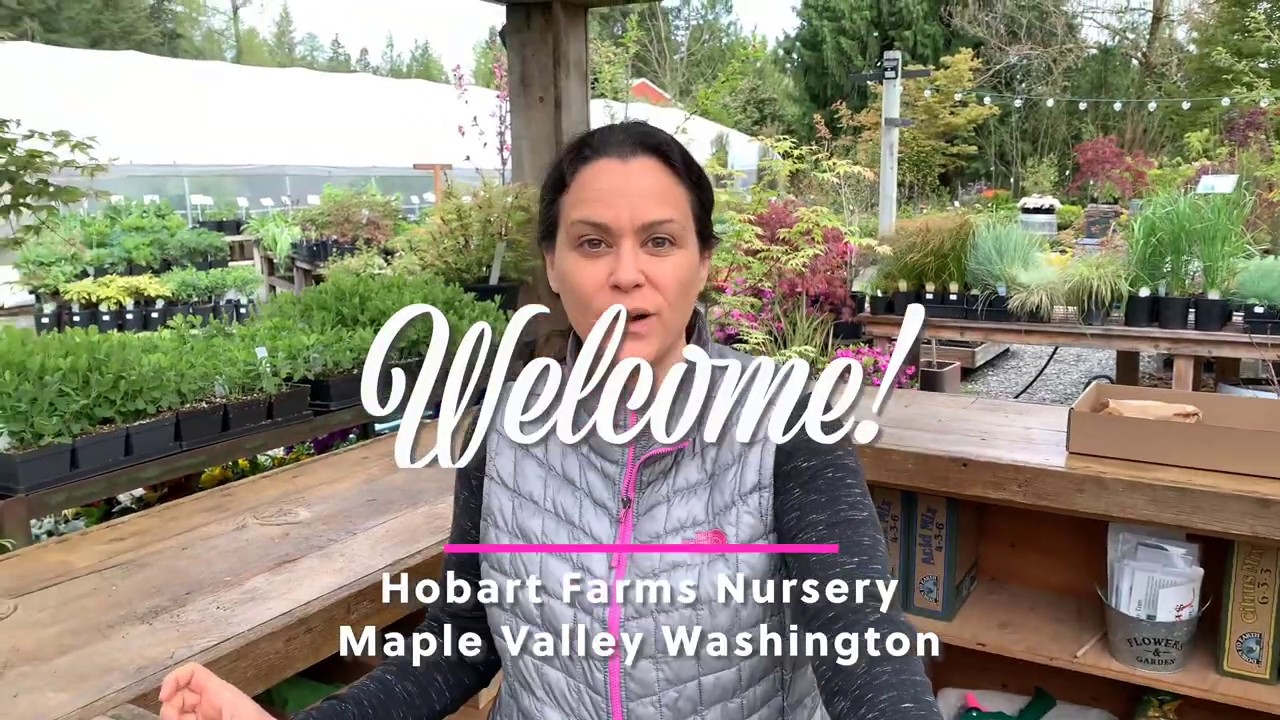 Hobart Farms Nursery Quick Tour YouTube