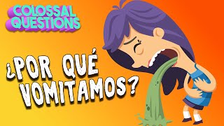 Por Qué Vomitamos? Preguntas Colosales
