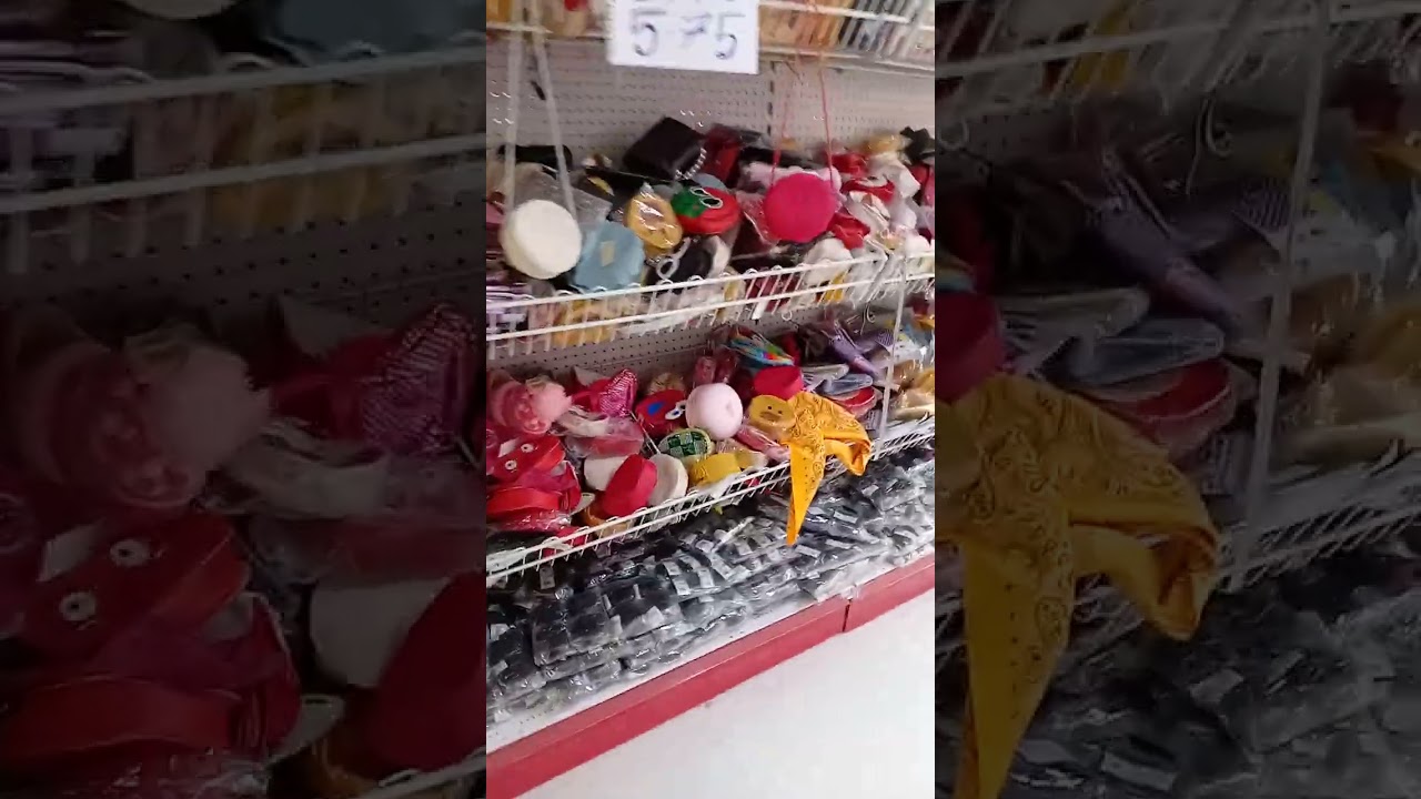 26 فبراير 2026