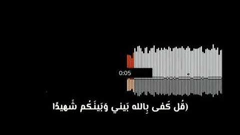 قل كفى بالله بيني وبينكم شهيدا \ عبد الرحمن مسعد \ من سورة العنكبوت ☘