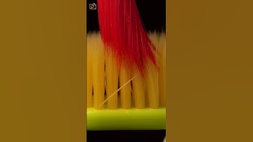 ASMR toothpaste and paint brush close up macro #shorts #satisfying  #closeup #asmr #macro