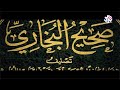 القراءات الحديثة للبخاري قراءة ثانية د معتز الخطيب 