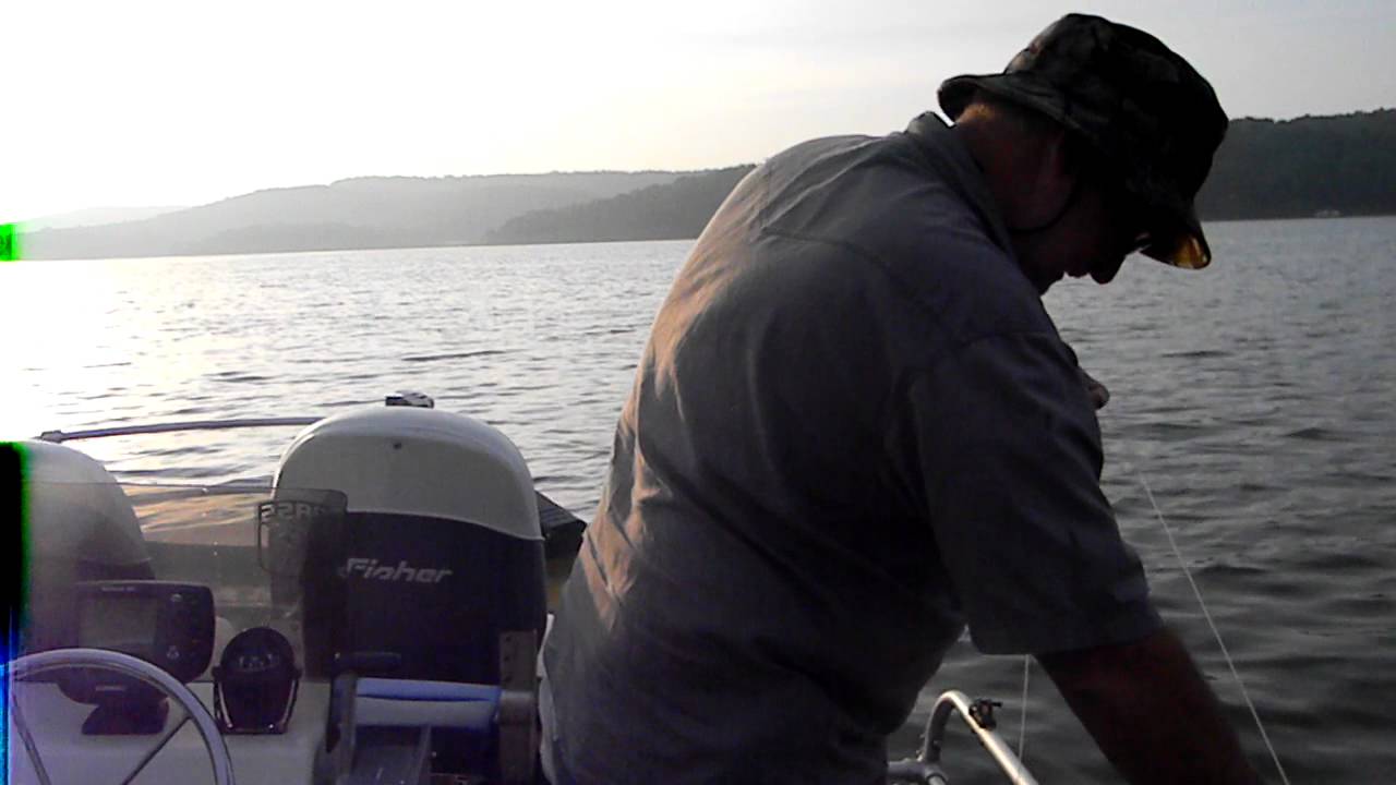 40 lb Catfish caught at Lake Tenkiller June 2011 YouTube