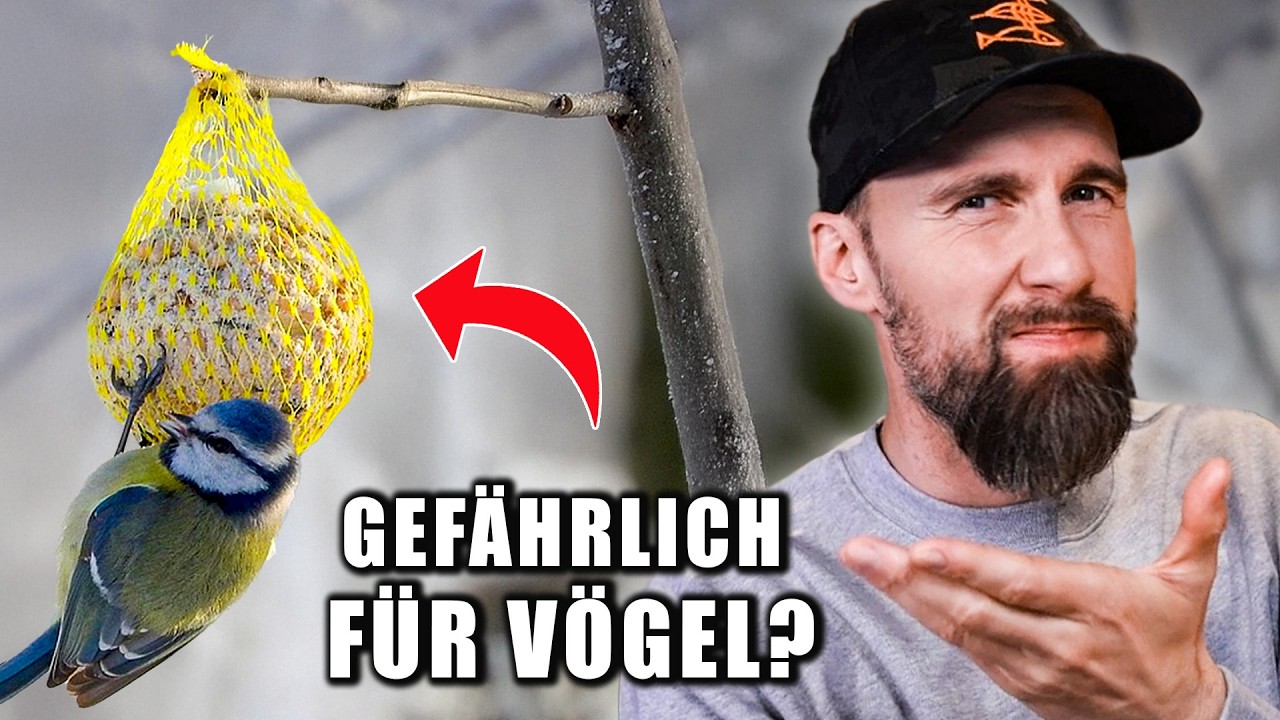 Warum du Vögel NICHT füttern solltest! – Das Problem mit Vogelfutterspendern | Robert Marc Lehmann