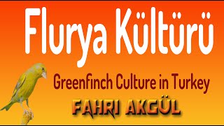 Flurya Kültürü 205 - Çayırbaşı 2017 Part 1