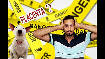 O que fazer se o filhote fica preso na hora de sair?