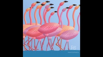 Flamingos Walk Cycle